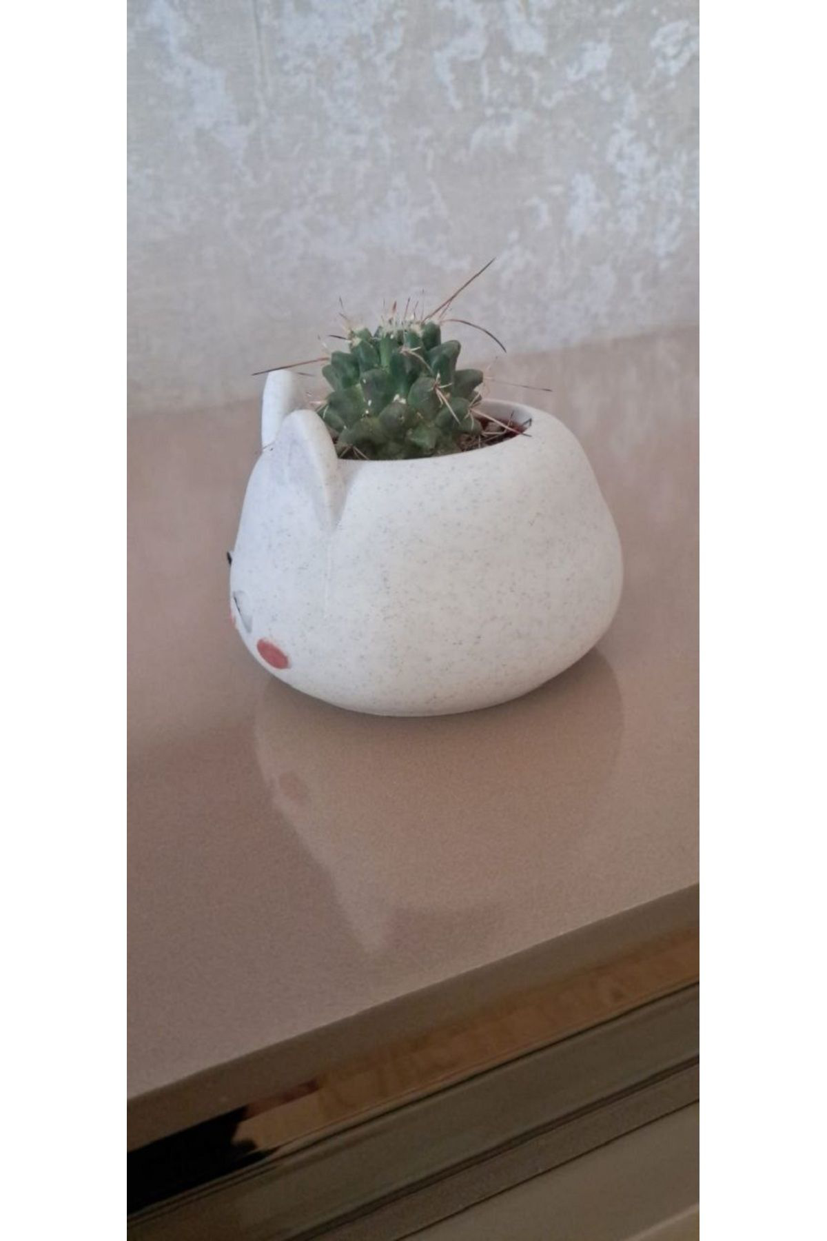 Alpaxa 3D Kedi Figürlü Sukulent Saksısı Mermer Desenli Alpaxa 3D Kedi Figürlü Sukulent Saksısı Mermer Desenli