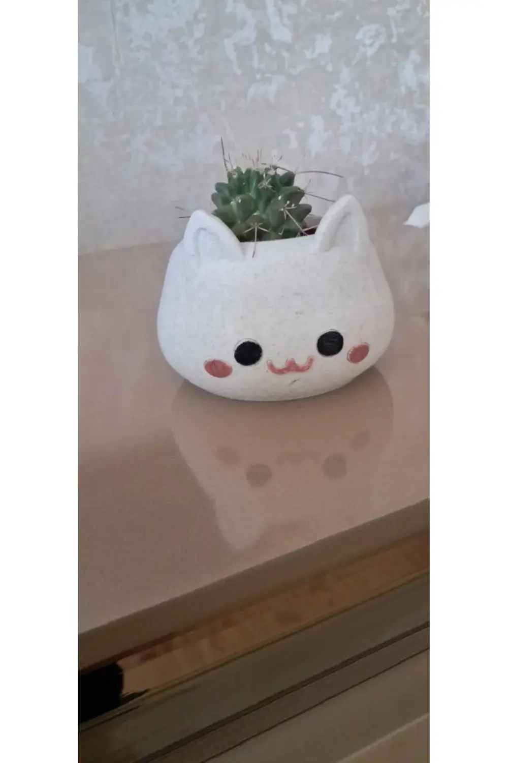 ALPAXA3D Kedi Figürlü Sukulent Saksısı Mermer Desenli