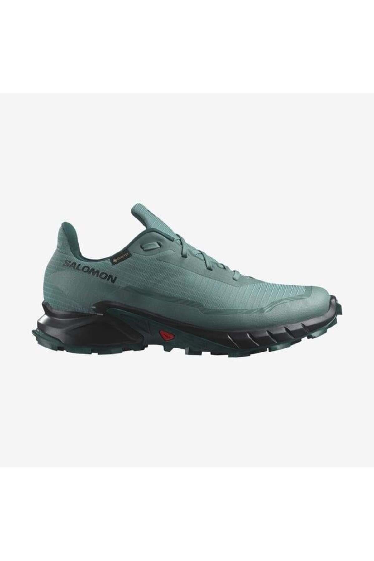 Salomon Alphacross 5 Gtx Erkek Koşu Ayakkabisi