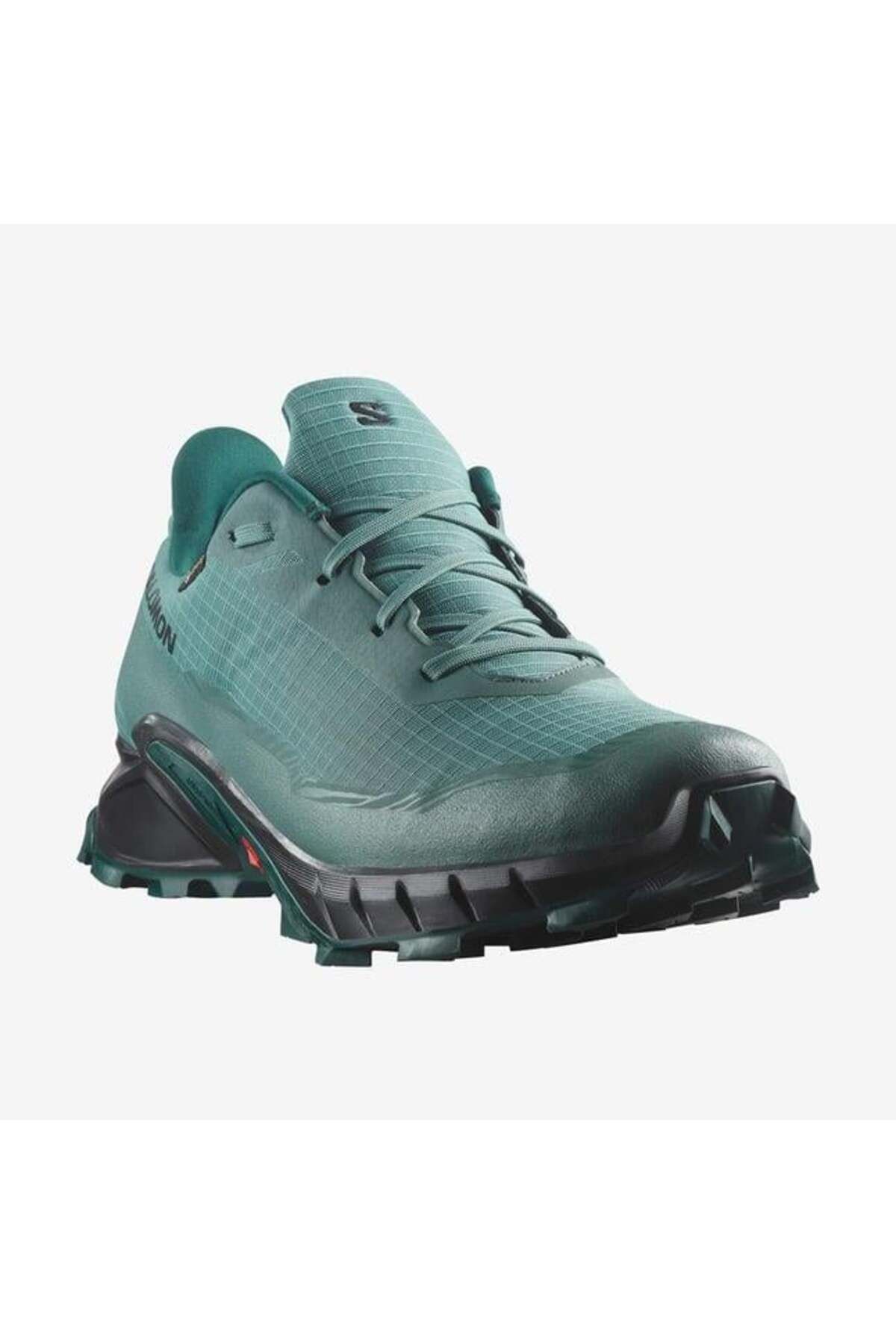 Salomon Alphacross 5 Gtx Erkek Koşu Ayakkabisi