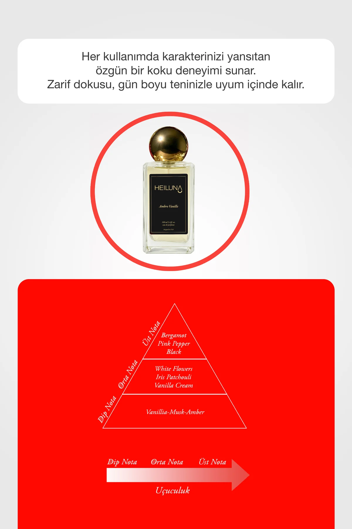 Ambre Vanille EDP 100 ml Unisex Parfüm