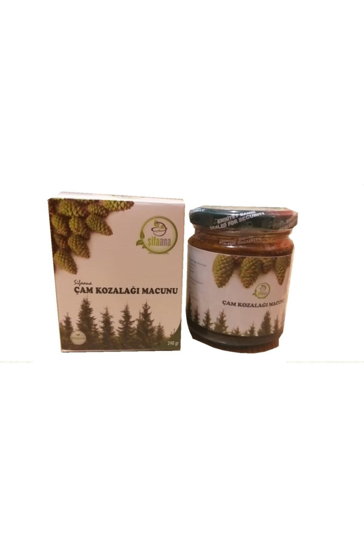 Ana Çam Kozalağı Macunu 240 Gr