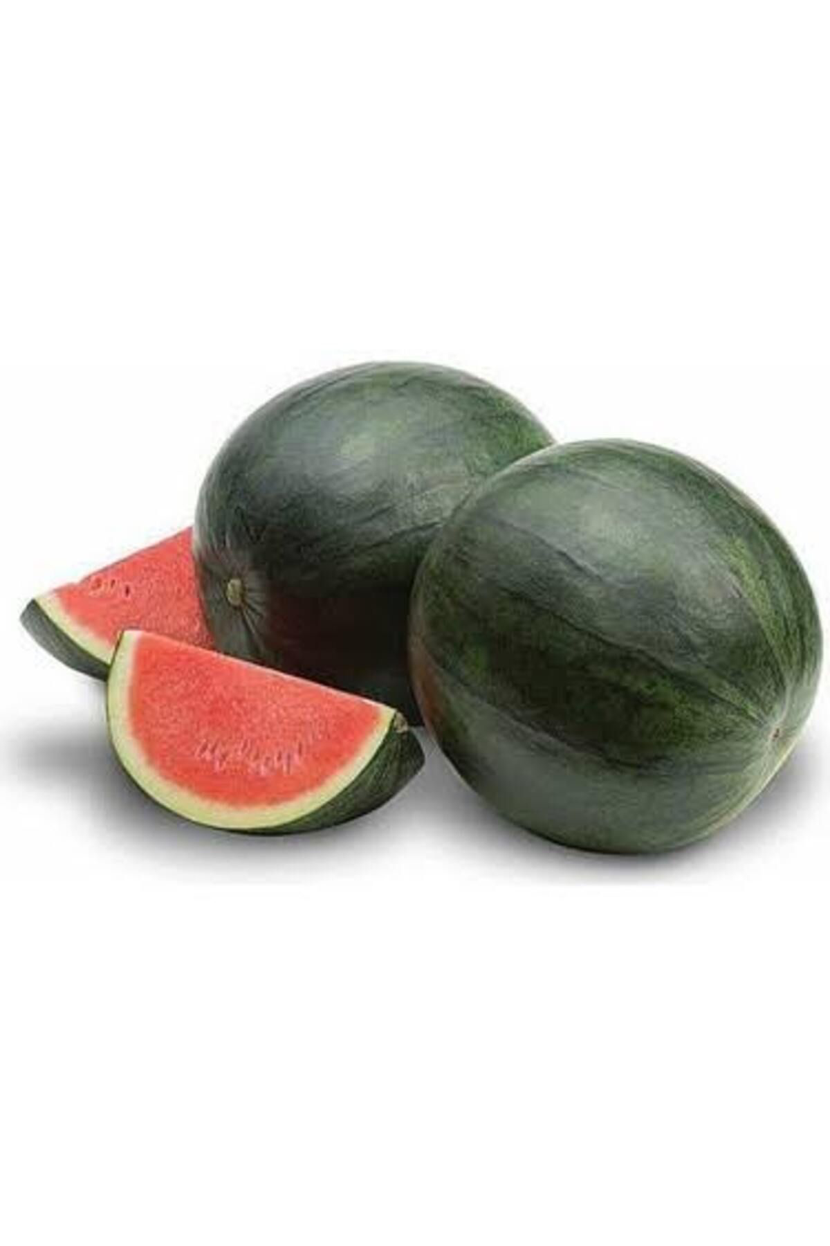 Tohumgübre Anadolu Karpuz Tohumu (5Adet)