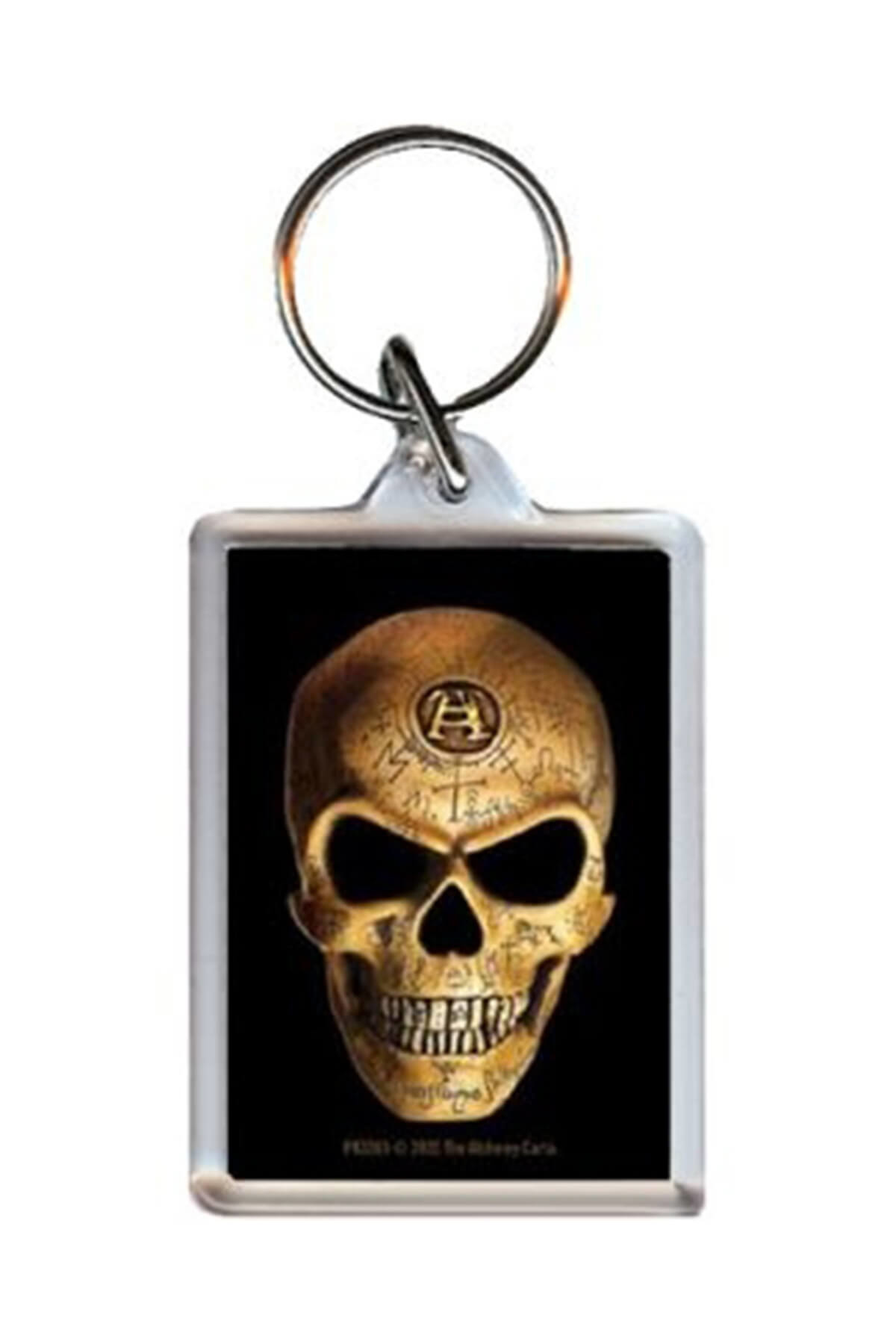 Anahtarlık Alchemy Omega Skull Akrilik