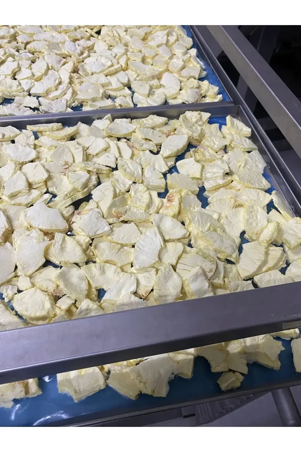 Ananas Kıtırı Freeze Dried (DONDURARAK KURUTULMUŞ) Ananas Cipsi