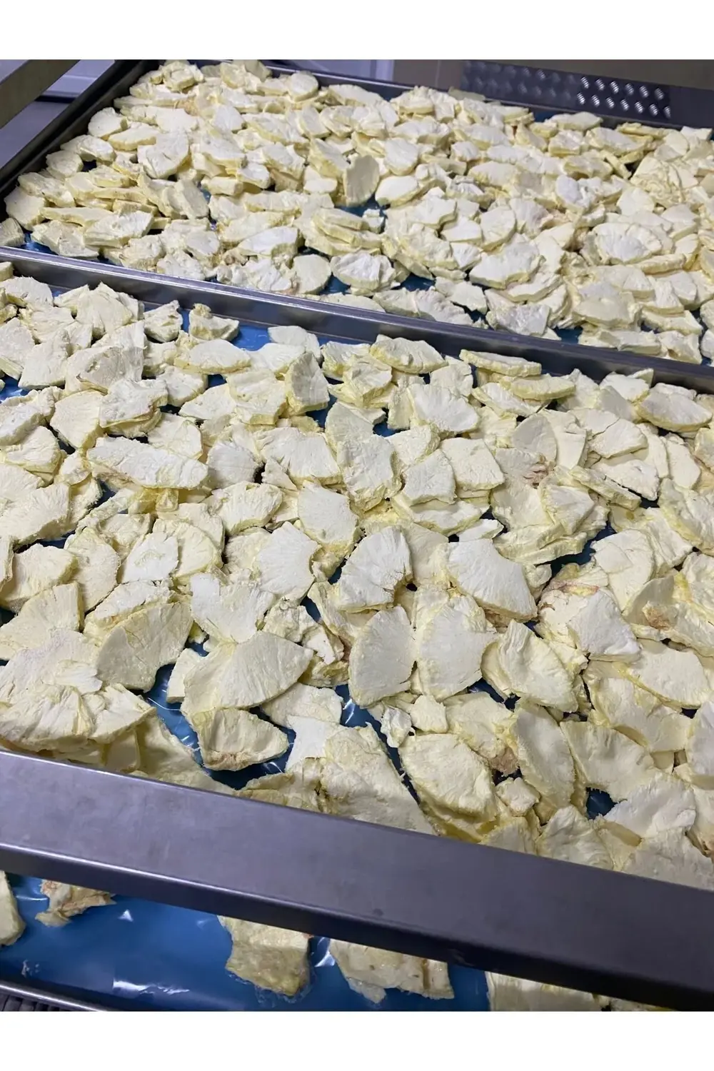 Ananas Kıtırı Freeze Dried (DONDURARAK KURUTULMUŞ) Ananas Cipsi