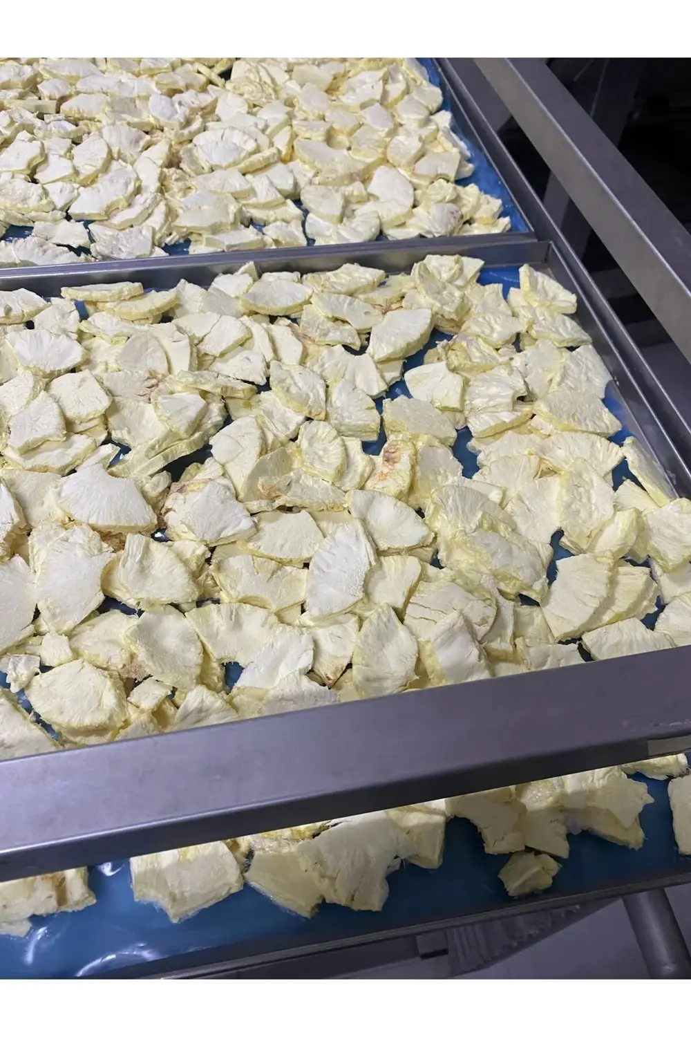 Ananas Kıtırı - Freeze Dried - Üretici Firmadan Dondurularak Kuru