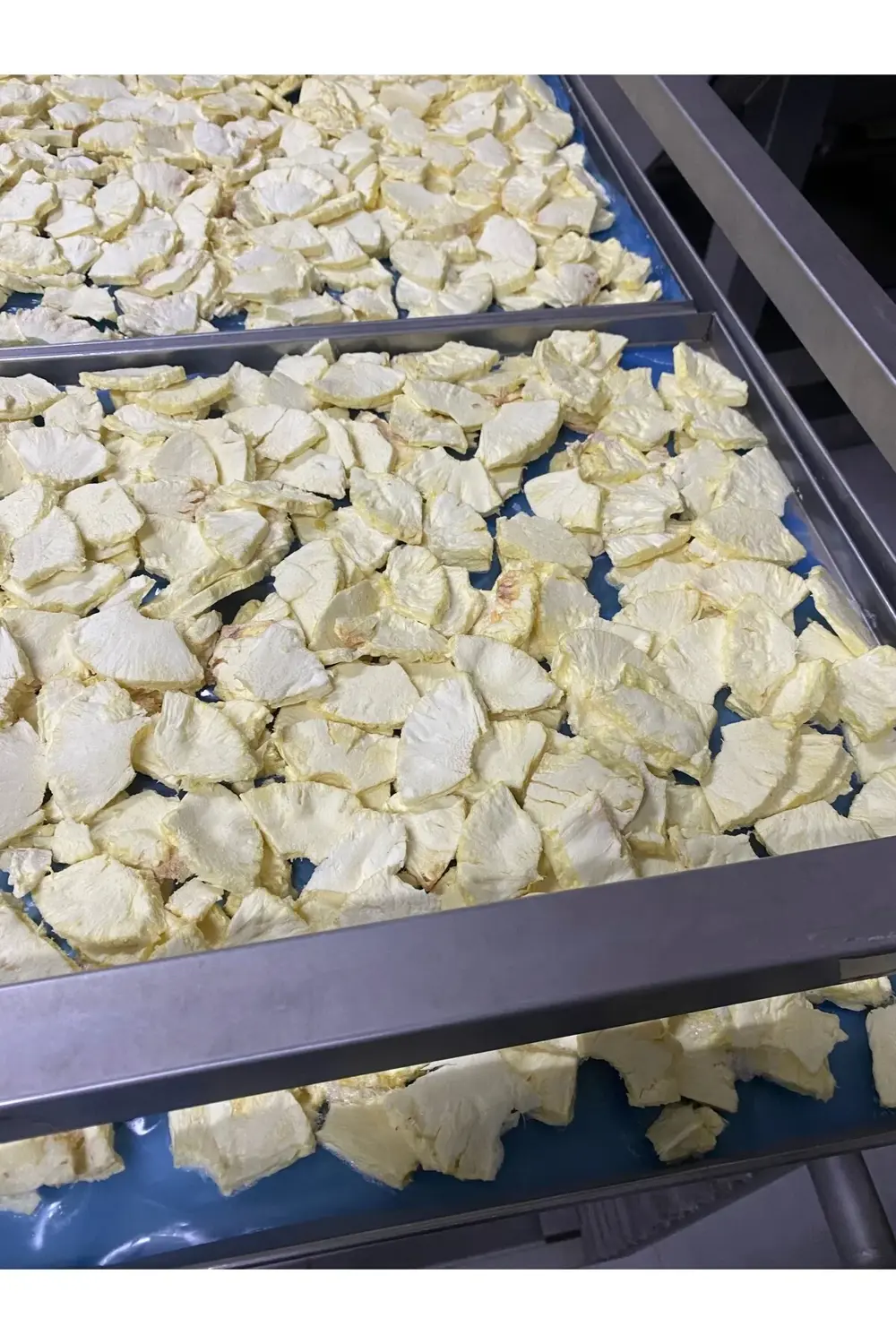 Ananas Kıtırı - Freeze Dried - Üretici Firmadan Dondurularak Kuru