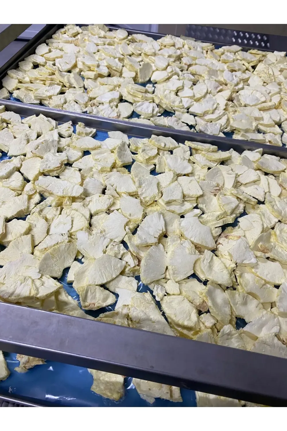 Ananas Kıtırı - Freeze Dried - Üretici Firmadan Dondurularak Kuru