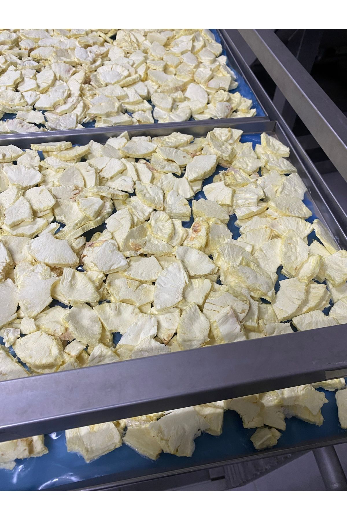 Frosse Ananas Kıtırı Freeze Dried (Dondurarak Kurutulmuş) Ananas Cipsi