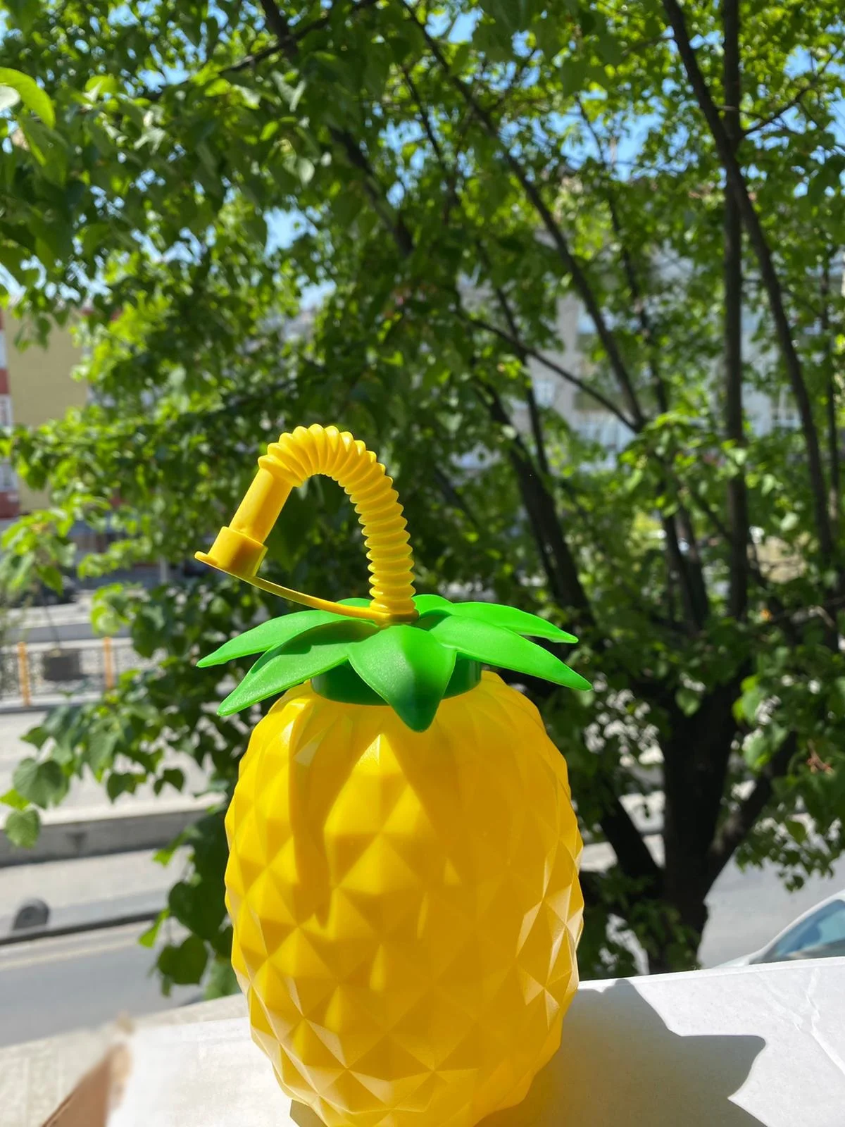 Ananas Pipetli Suluk