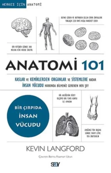 Anatomi 101 Fiyatı, Yorumları ve Özellikleri
