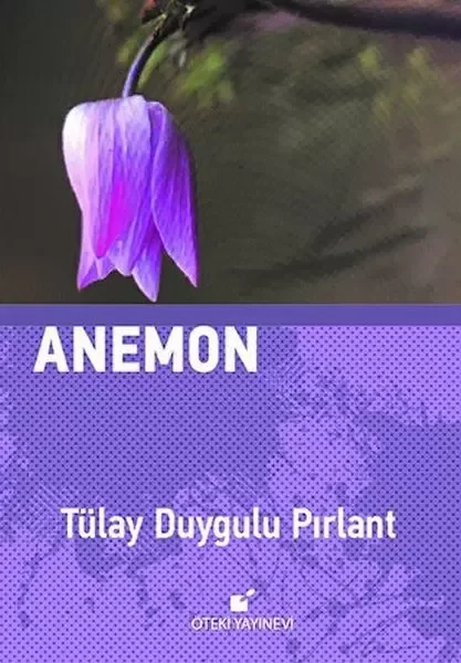 Anemon Fiyatı, Yorumları ve Özellikleri