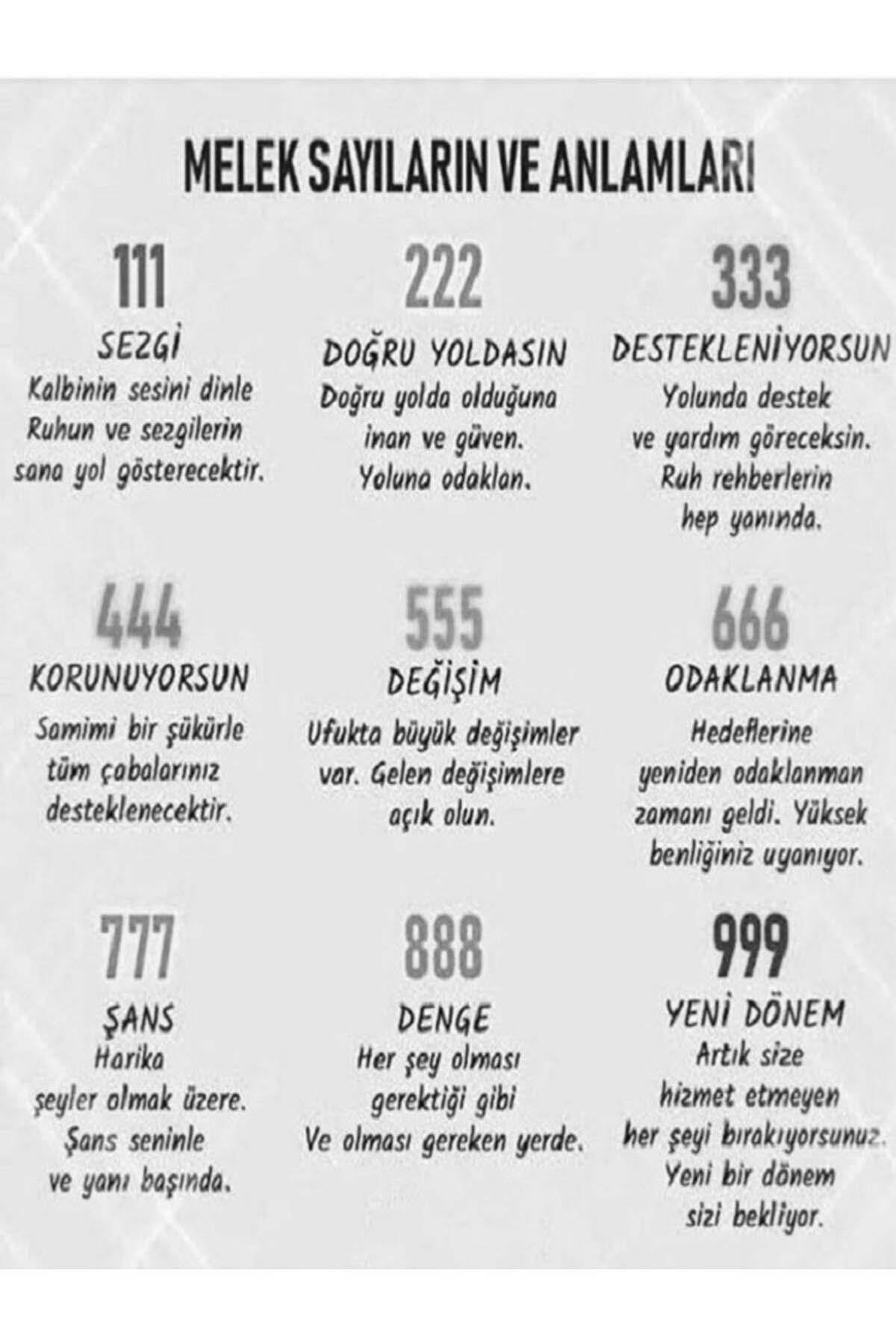 Angel Number Şans Numara Kolyesi 925 Ayar Gümüş Zincirli Gold Kol