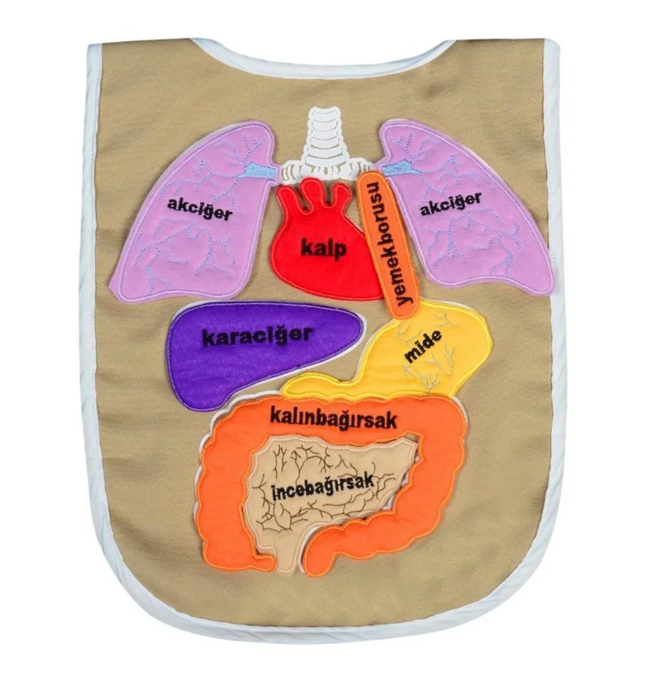 Anki Toys Cırtlı Eğitici Organ Önlüğü And-5011