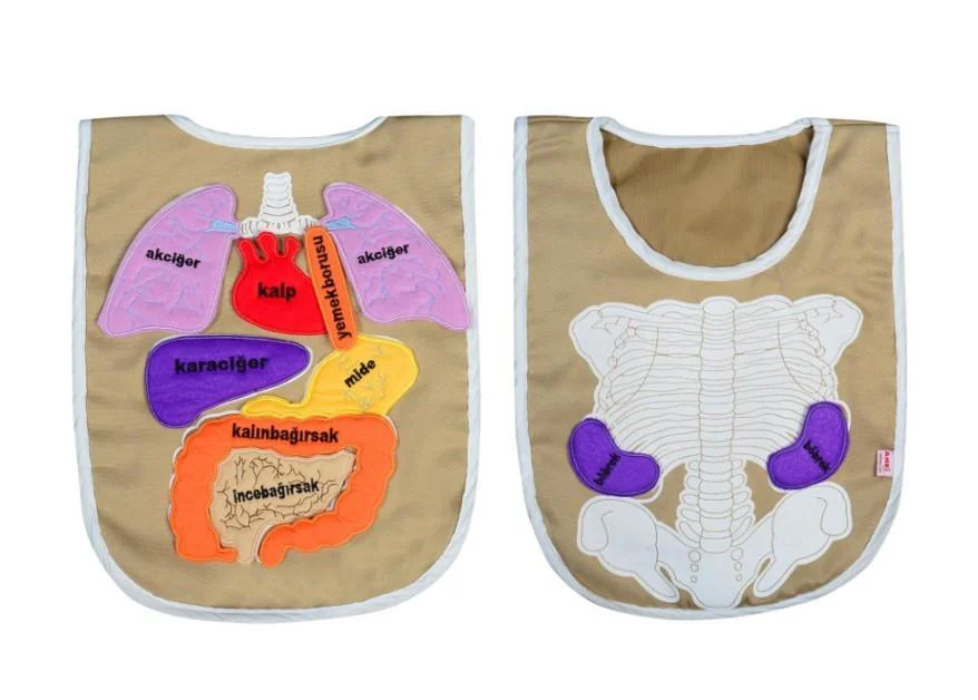 Anki Toys Cırtlı Eğitici Organ Önlüğü And-5011