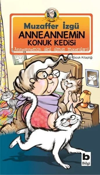 Anneannemin Konuk Kedisi Fiyatı, Yorumları ve Özellikleri