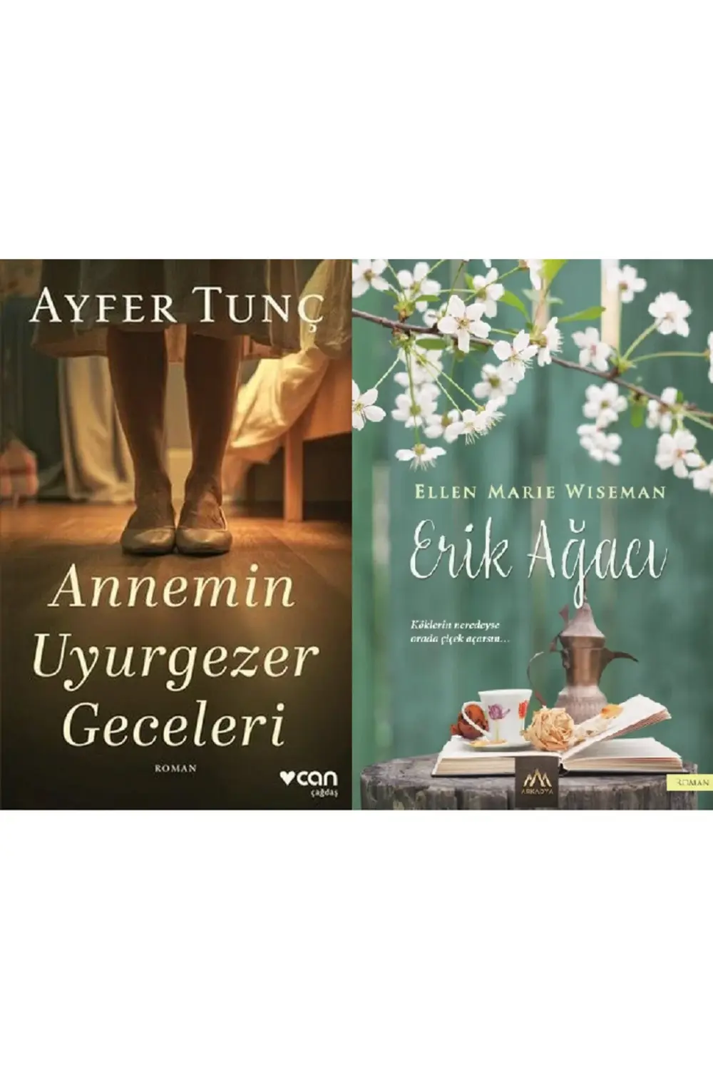 Annemin Uyurgezer Geceleri + Erik Ağacı 2 Kitap Set