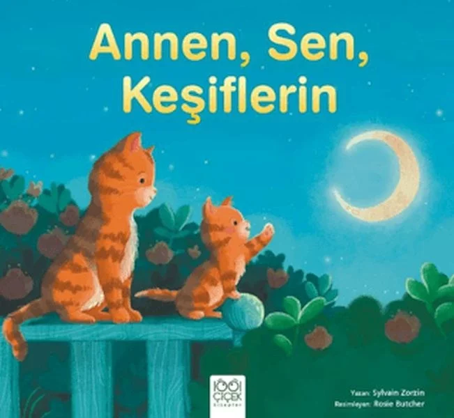 Annen, Sen, Keşiflerin Fiyatı, Yorumları ve Özellikleri