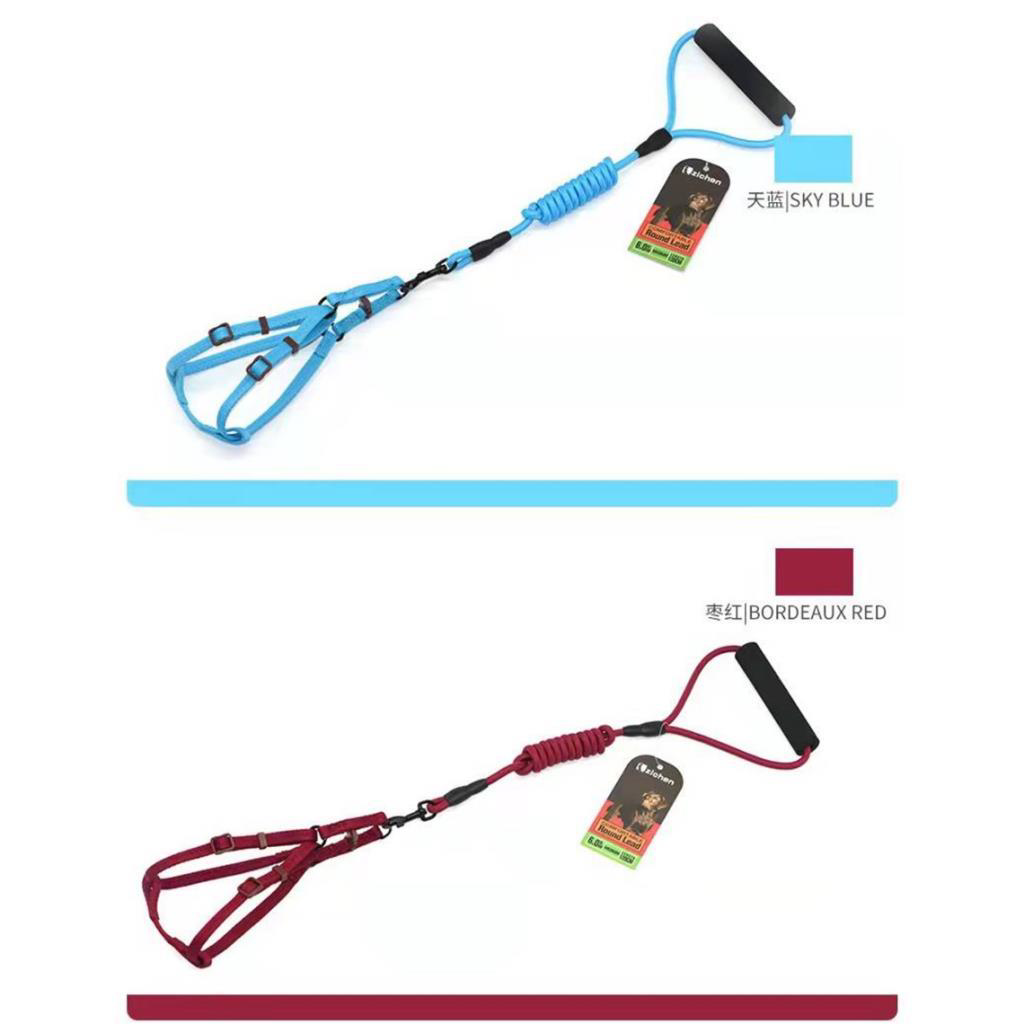 Ans  2017 Karişik Renk Fitil Gezdirmeli 5-12Kg Köpek Göğüs Tasmasi