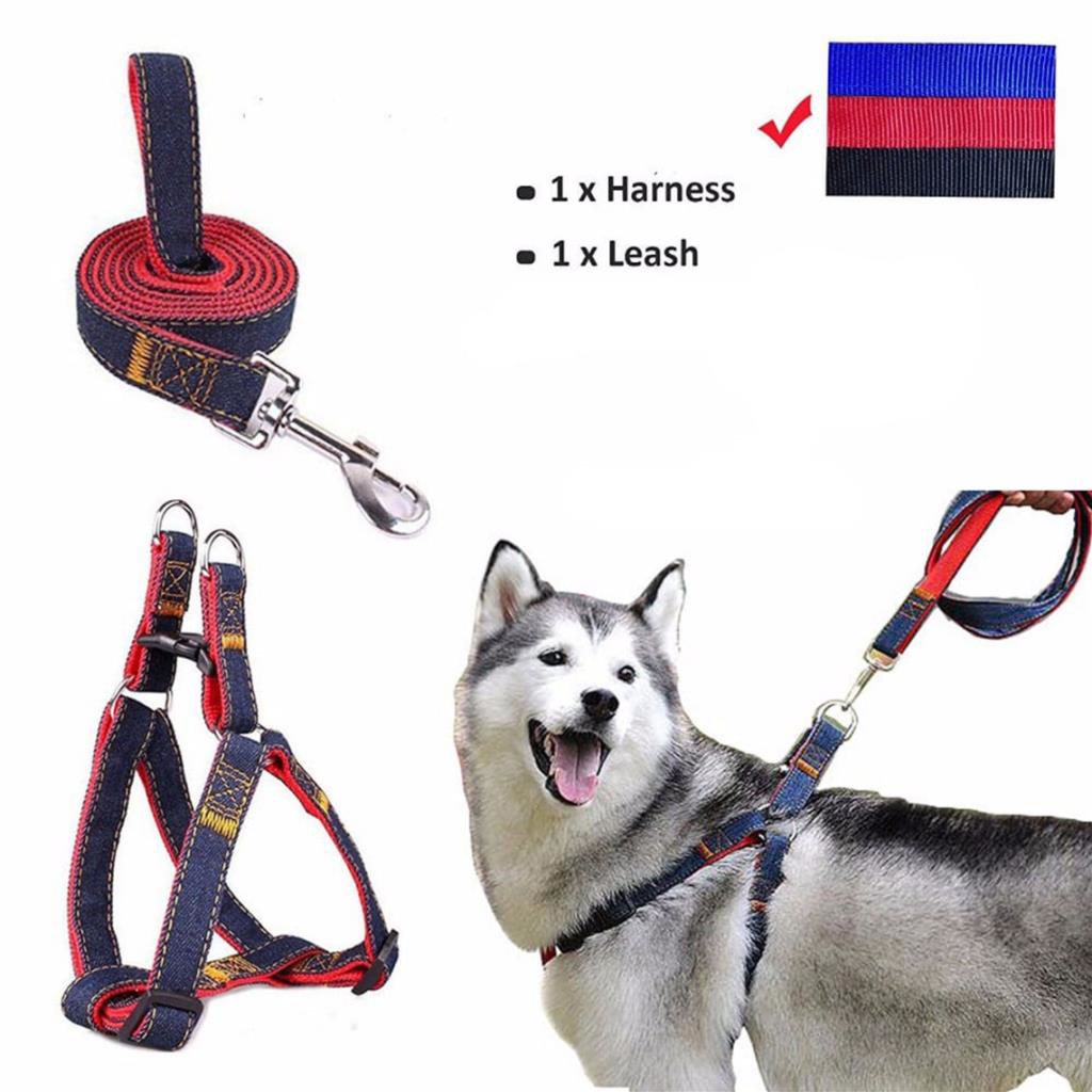 Ans  2116 Kot Desenli Gezdirmeli 10-15Kg Köpek Göğüs Tasması 2Cm