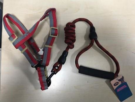 ANS Fosforlu Köpek Yumuşak Bel Tasması Takım Kırmızı Gri 15-25 Kg