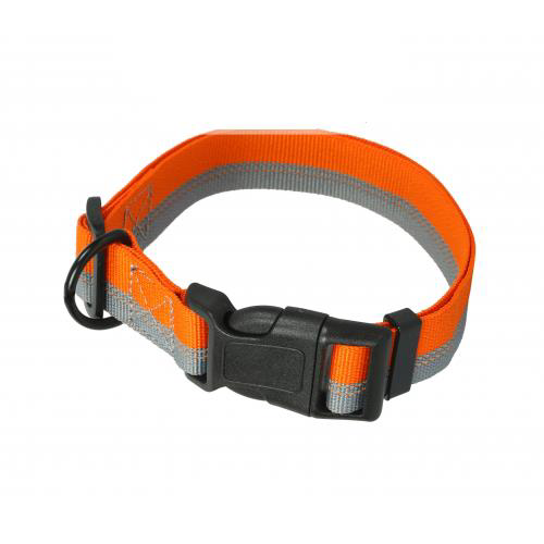 ANS İki Renk Köpek Boyun Tasması 2,5cm Genişlik, Boynu 46-55cm