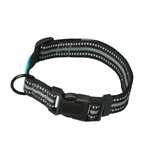 ANS Köpek Boyun Tasması 2,5cm Genişlik, Boynu 46-55cm