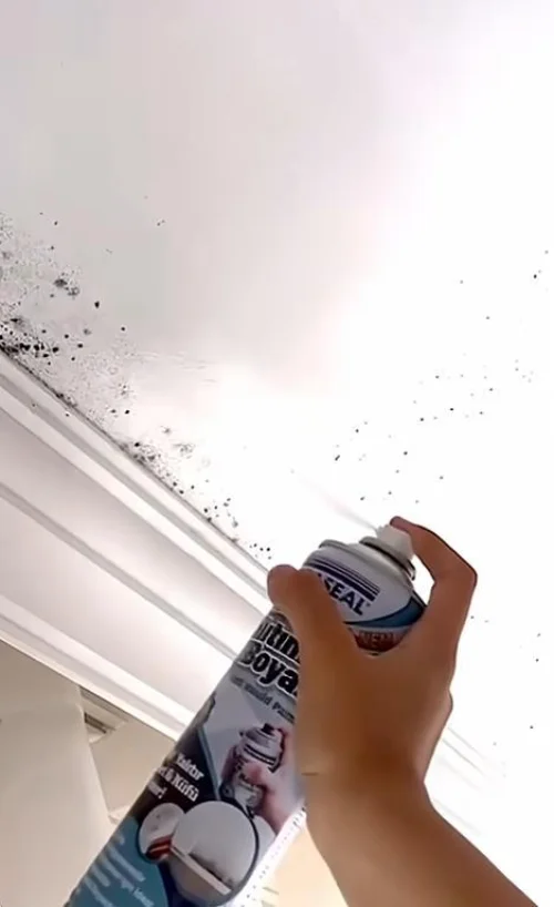 Anti Küf Yalıtım Boyası Sprey 500 ml