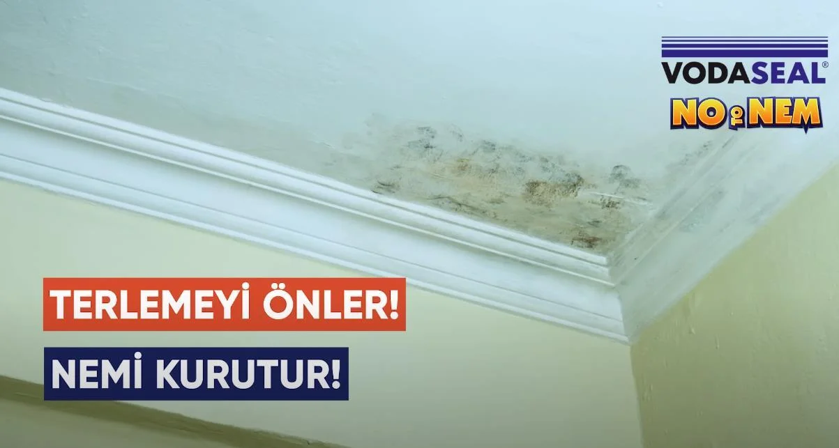 Anti Küf Yalıtım Boyası Sprey 500 ml