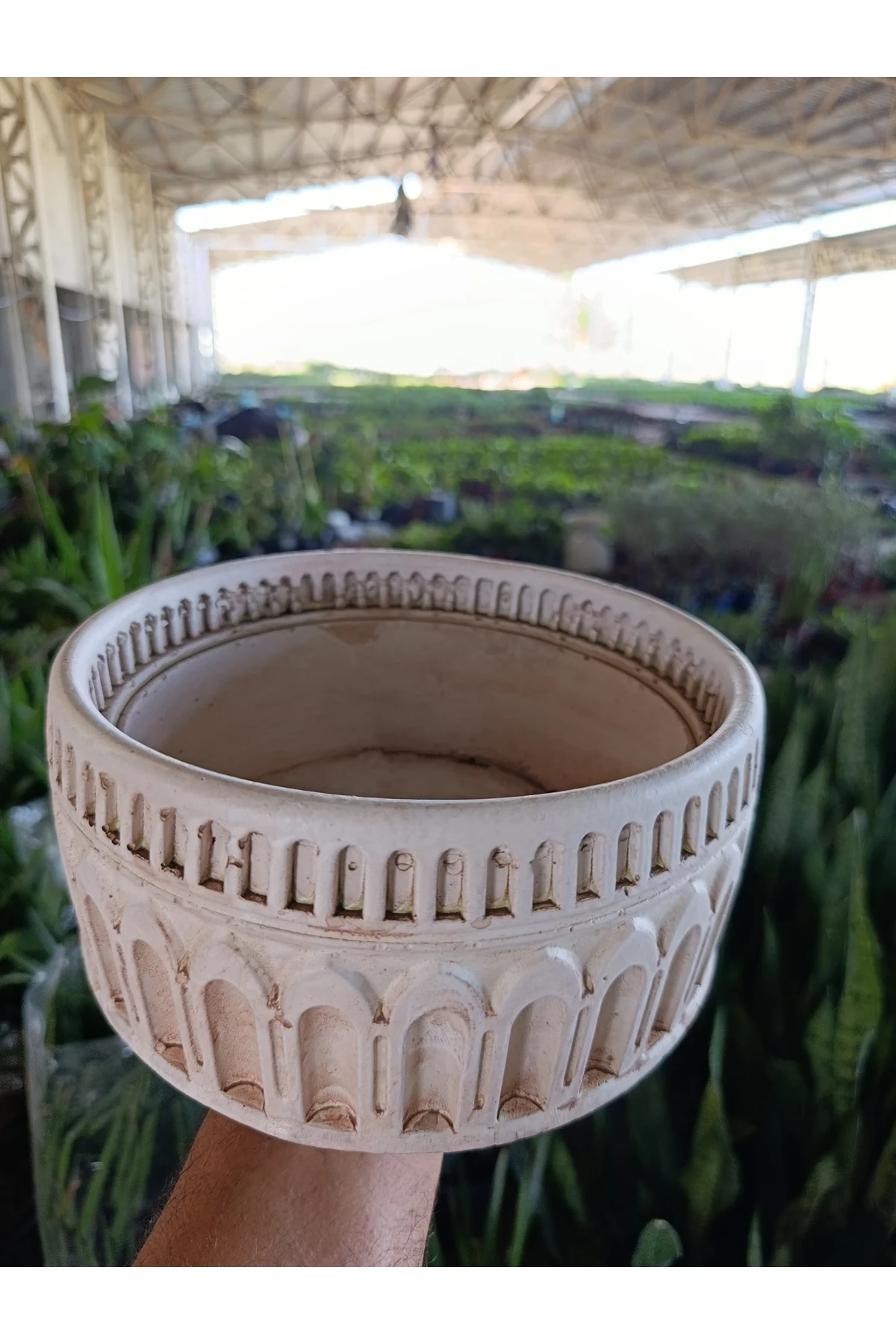 Antik Beyaz Kemerli Roma Tarzı Saksı 21*10 cm ve Para Çiçeği - Görsel 2