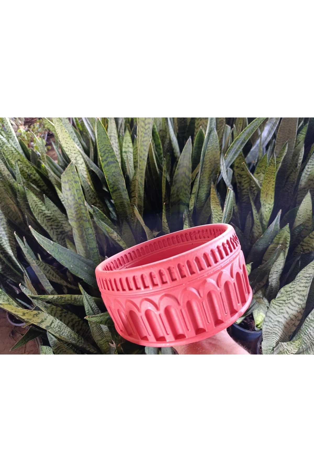 Antik Roma Desenli Taş Saksı 21*10 cm Para Çiçeği İle