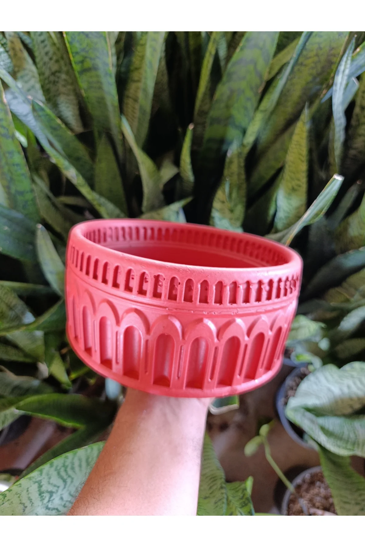 Antik Roma Desenli Taş Saksı 21*10 cm Para Çiçeği İle - Görsel 2