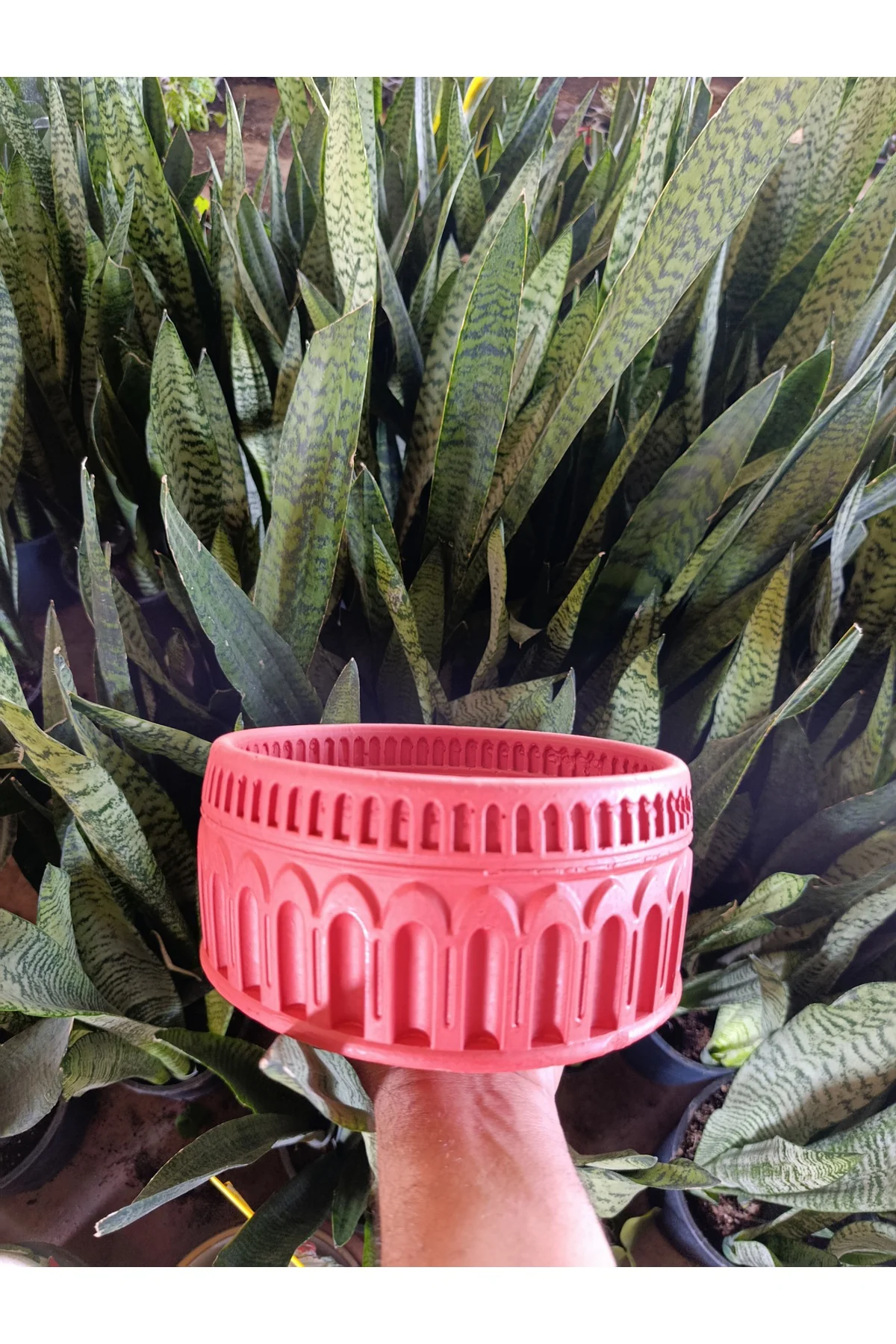 Antik Roma Desenli Taş Saksı 21*10 cm Para Çiçeği İle - Görsel 4