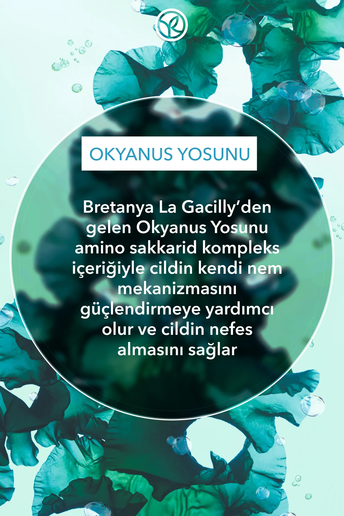 Antioksidan Yüz Yıkama Jeli-Normal ve Kuru Cilt-Pure Algue Nemlen
