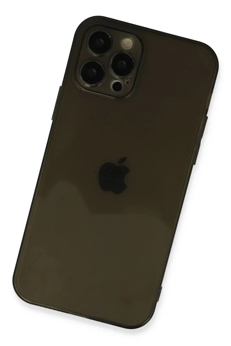 Apple iPhone 12 Pro Max Kılıf Fly Lens Silikon - Siyah
