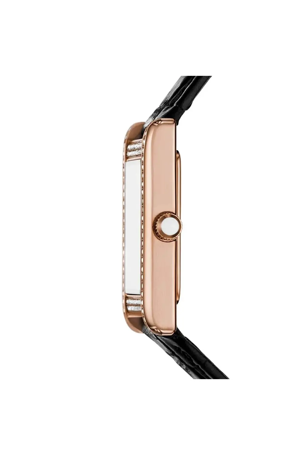 AR11624 Kadın Kol Saati