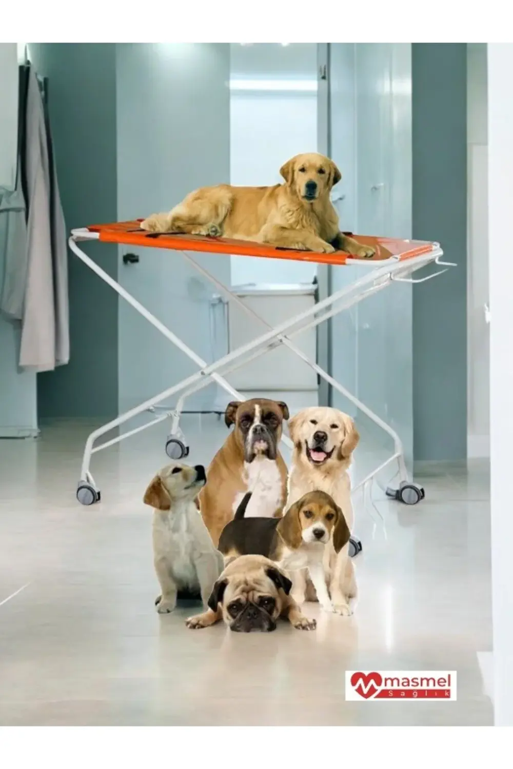 Araba Tipi Veteriner Acil Taşıma Sedyesi E-279/D