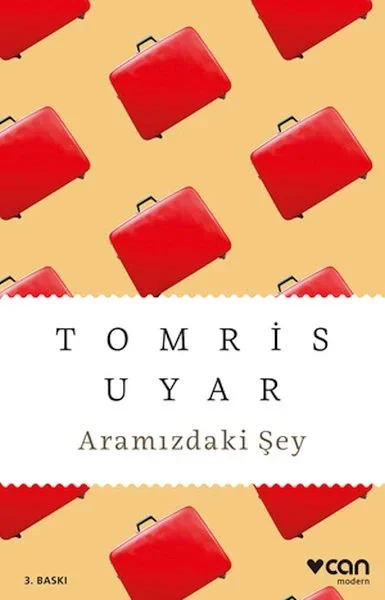 Aramızdaki Şey Fiyatı, Yorumları ve Özellikleri