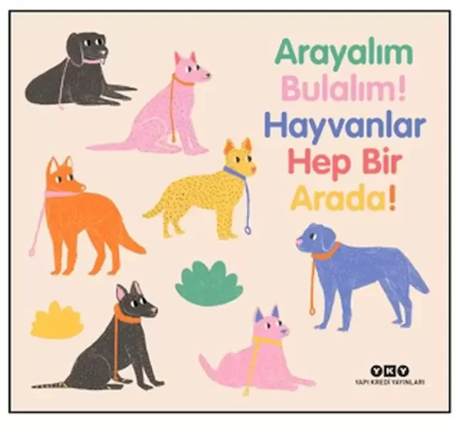 Arayalım Bulalım! Hayvanlar Hep Bir Arada!