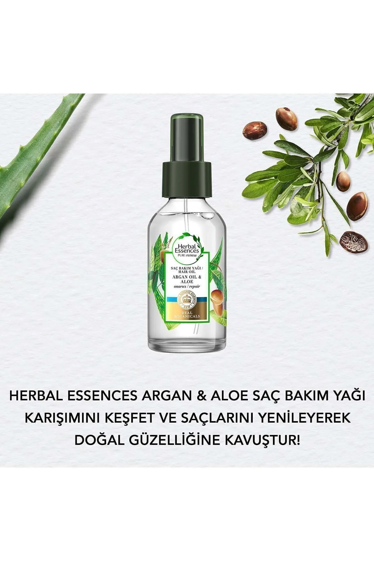 Argan Yağlı Onarıcı Sprey Yağ 100m- - Görsel 4
