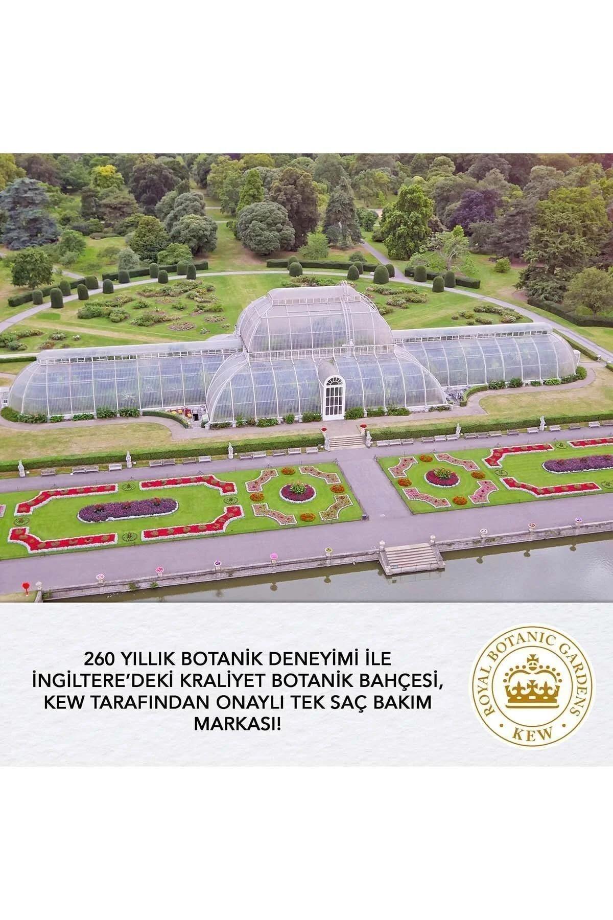 Argan Yağlı Onarıcı Sprey Yağ 100m- - Görsel 5