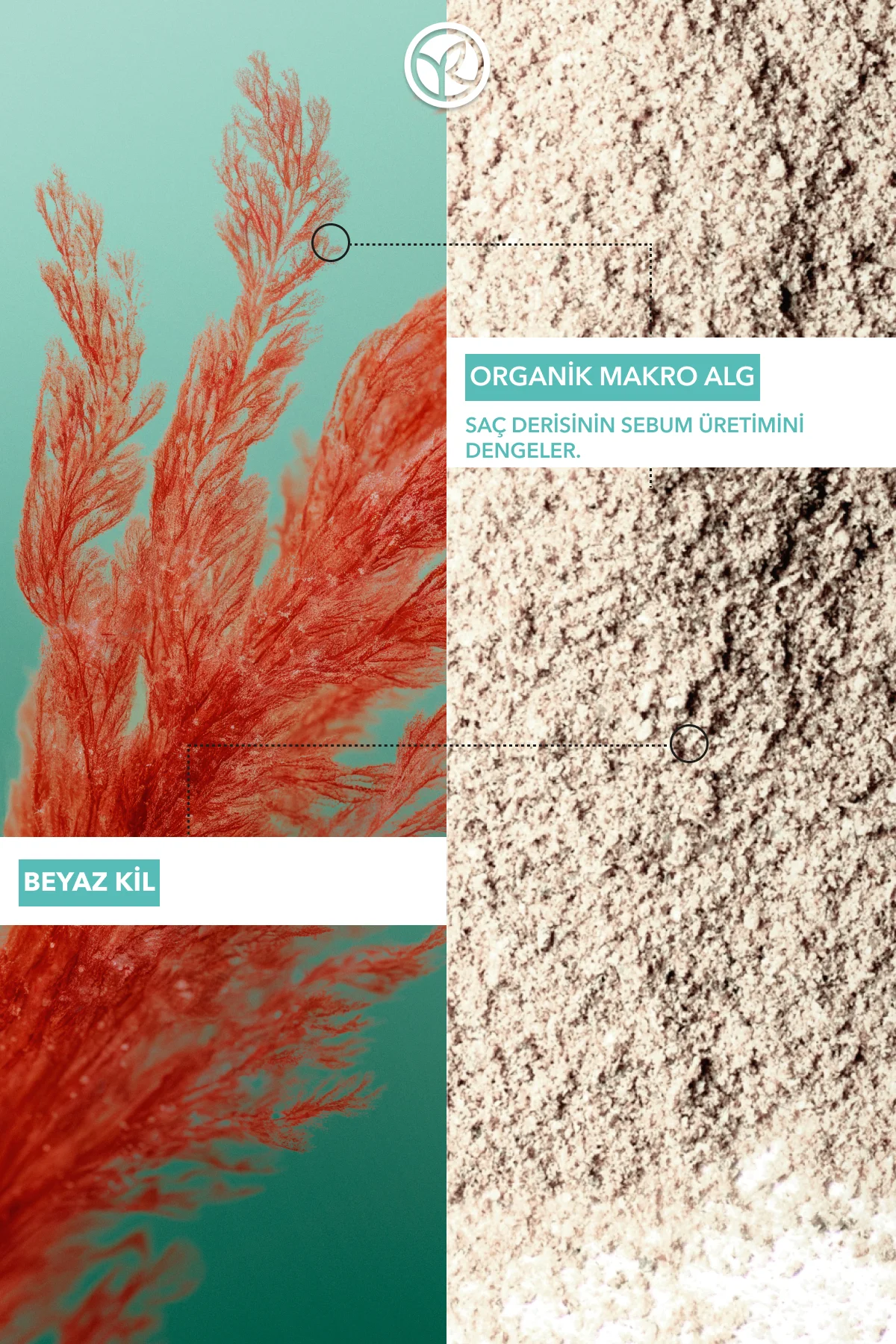 Arındırıcı 2si1 Arada Peeling ve Maske - Yağlı Saçlar / Purete - 