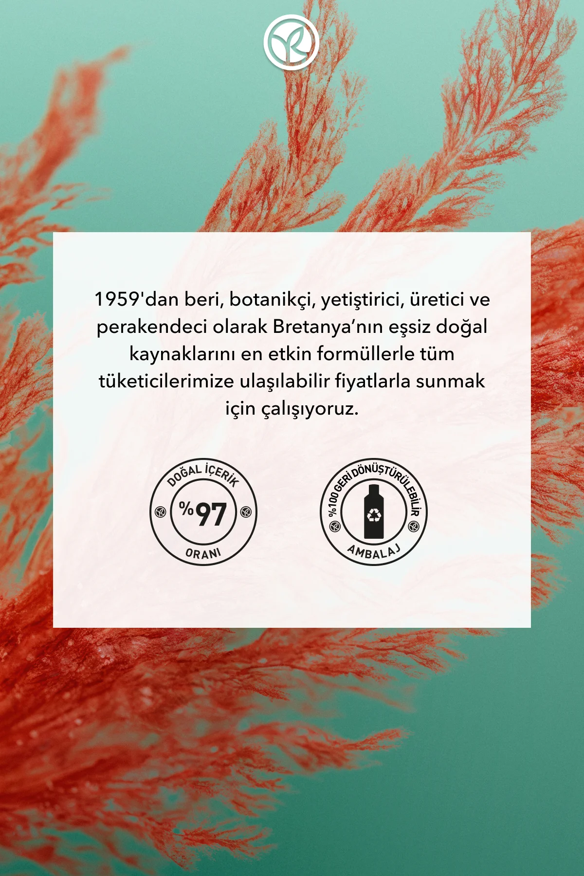 Arındırıcı 2si1 Arada Peeling ve Maske - Yağlı Saçlar / Purete - 