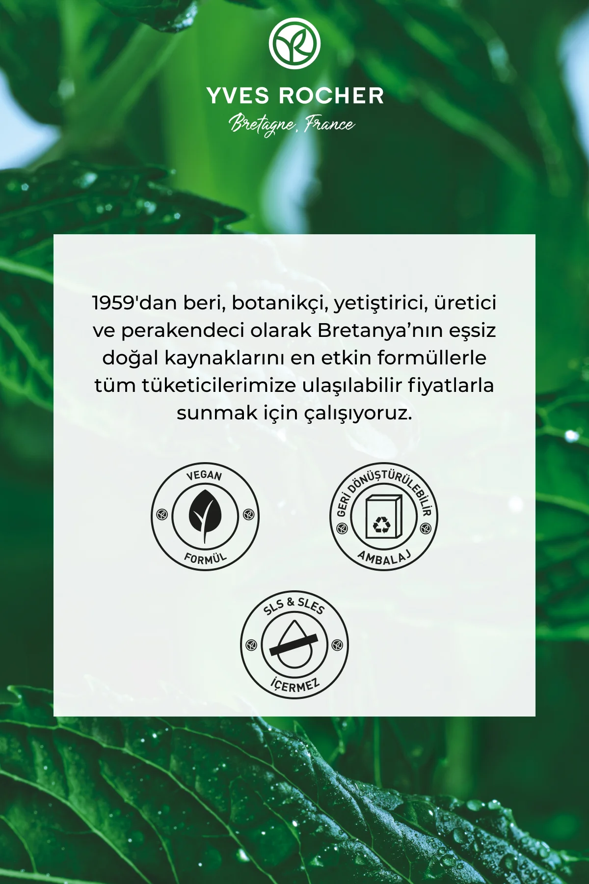 Arındırıcı Katı Şampuan- Yağlı Saçlar/Pureté-21018