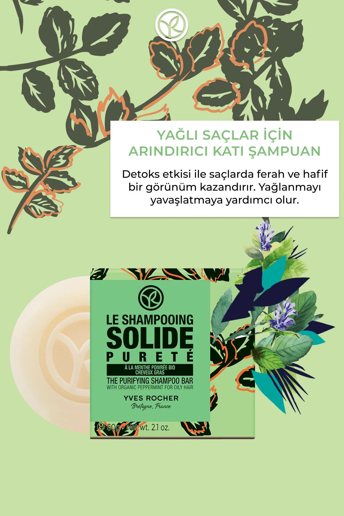 Arındırıcı Katı Şampuan- Yağlı Saçlar/Pureté-21018