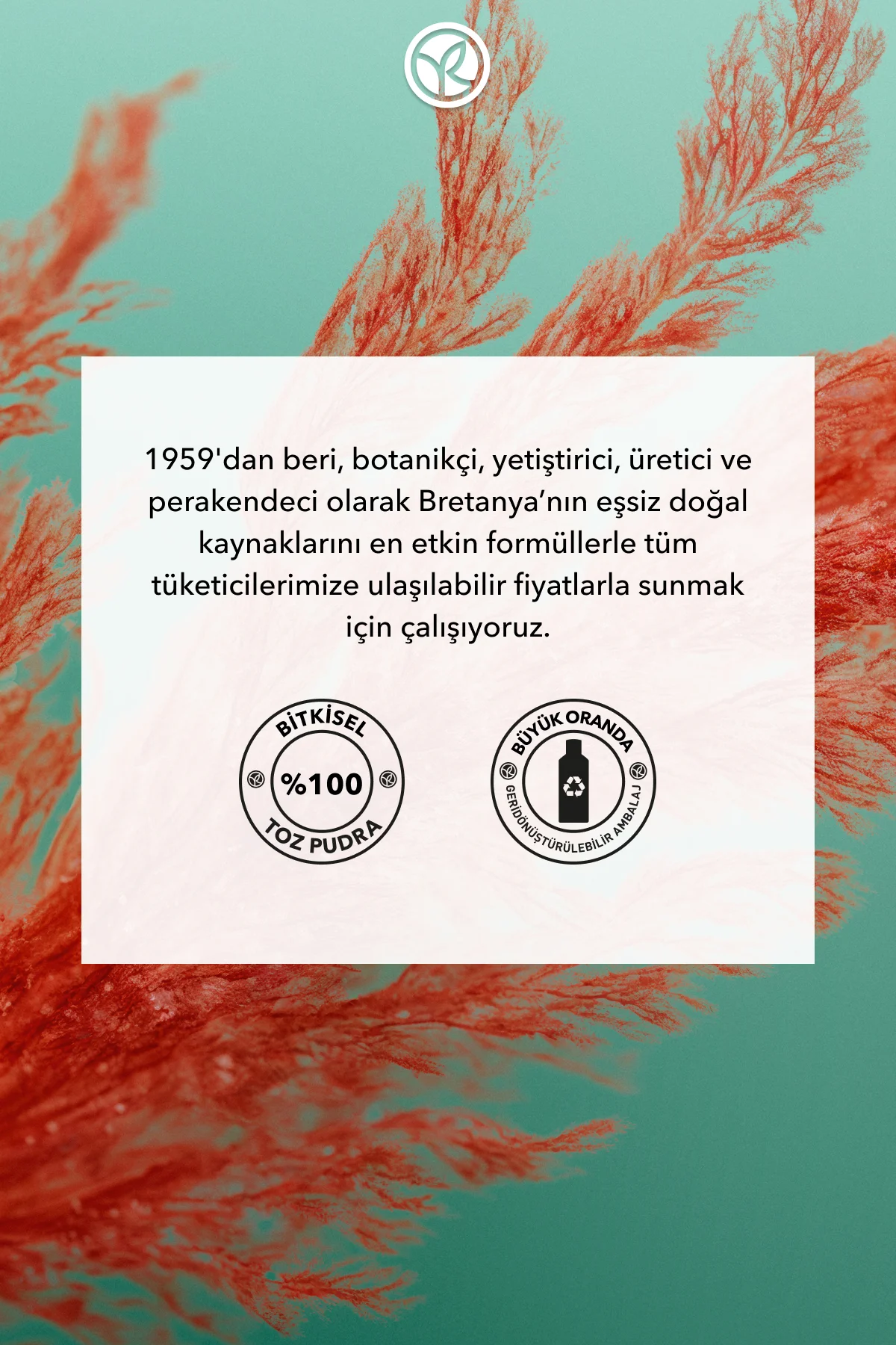 Arındırıcı Kuru Şampuan - Tüm Saçlar / Purete - Tuzsuz ,Vegan -15