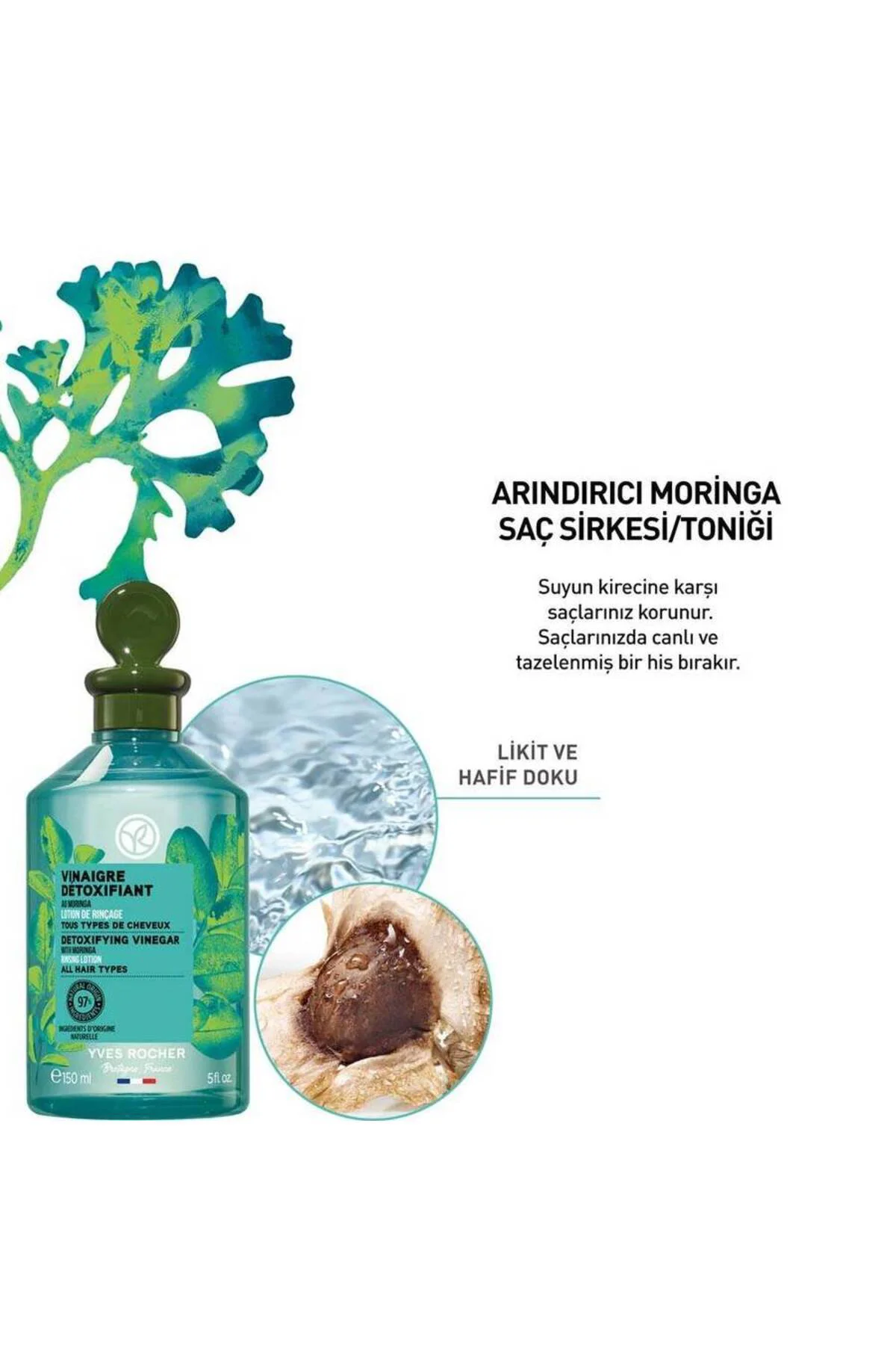 Arındırıcı Moringa Saç Sirkesi ve Toniği - Yağlı Saçlar / Pure De