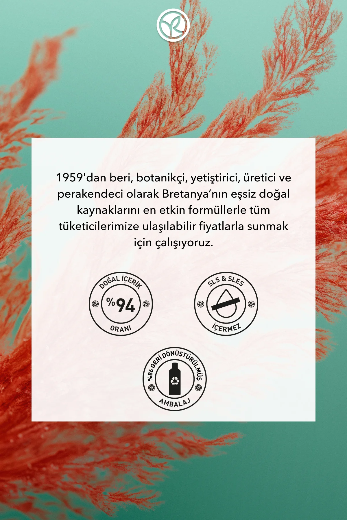 Arındırıcı Şampuan - Yağlı Saçlar / Purete - SLS,SLES içermez , V