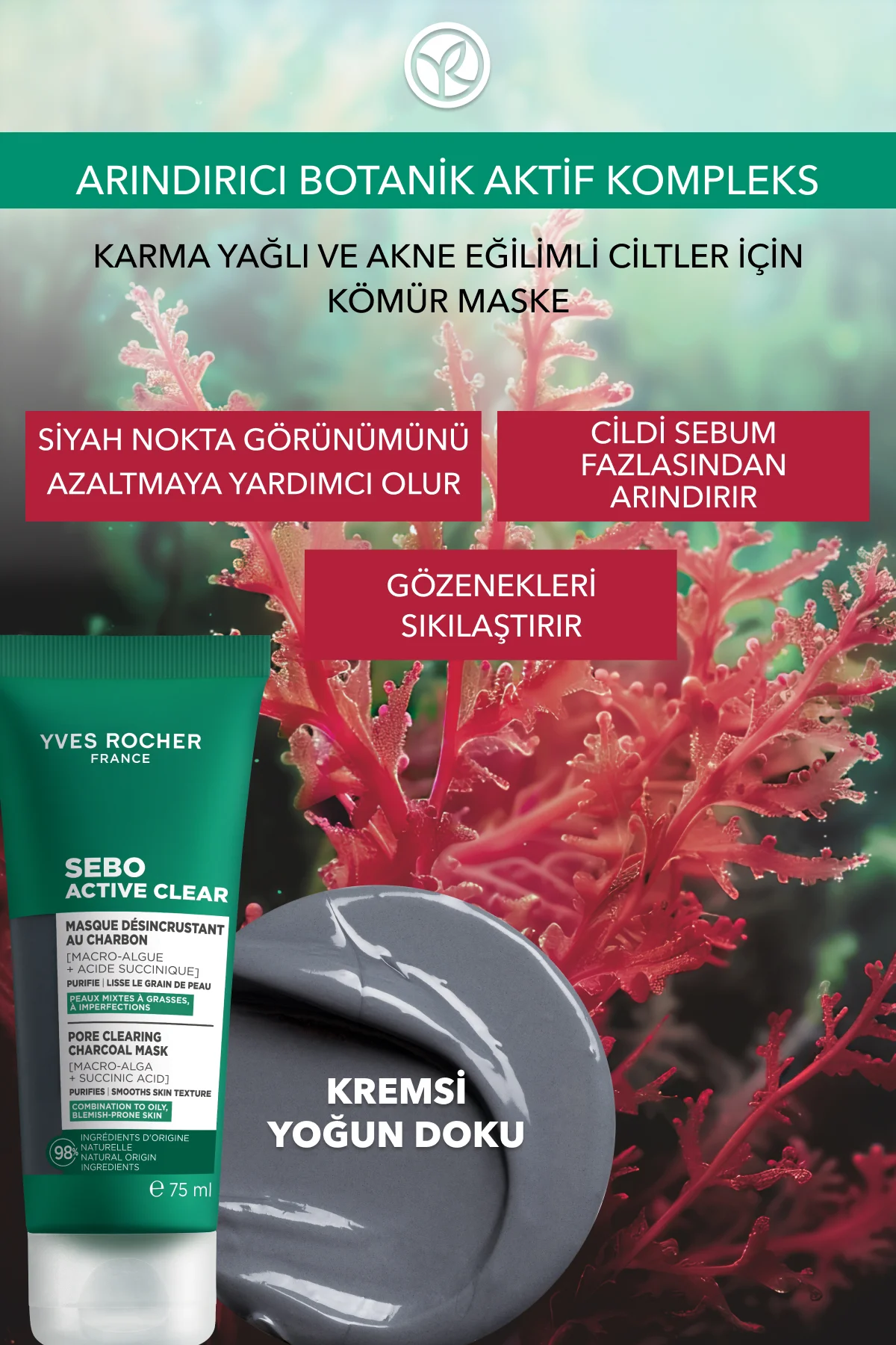 Arındırıcı Siyah Nokta Karşıtı Kömür Maske-Süksinik Asit-Sebo Act